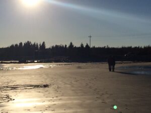 Two people walking along the shore with the sun gleaming off the sand.